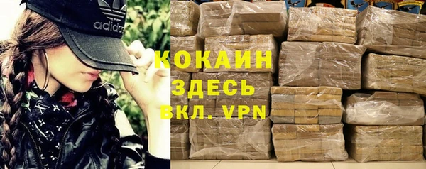 шишки Михайловск