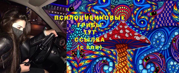шишки Михайловск