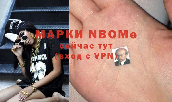 шишки Михайловск