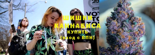 шишки Михайловск