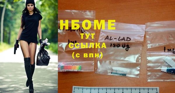 хмурый Снежногорск