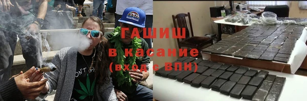 шишки Михайловск