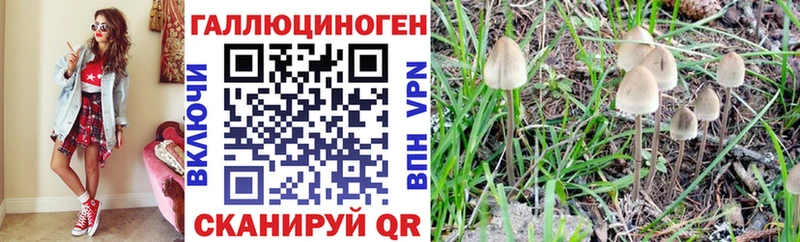 Галлюциногенные грибы мухоморы Северодвинск