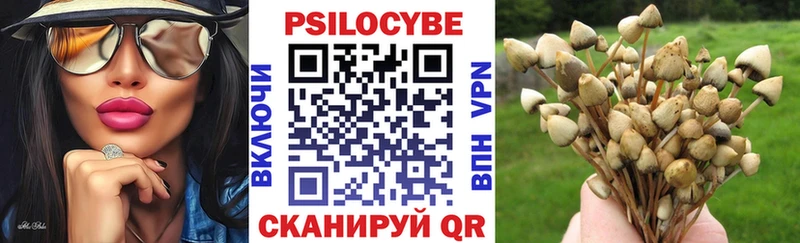 как найти закладки  гидра как зайти  Галлюциногенные грибы Psilocybine cubensis  Северодвинск 