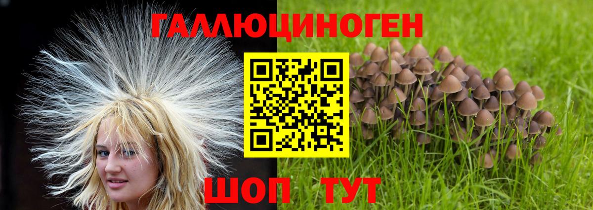 Северодвинск  Галлюциногенные грибы Magic Shrooms  Вход с VPN 